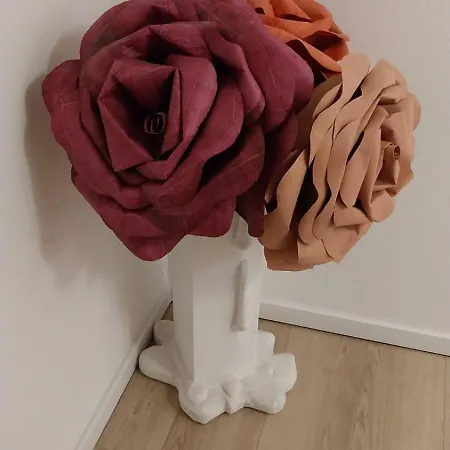 Διαμέρισμα Golden Angel Καρκασόν